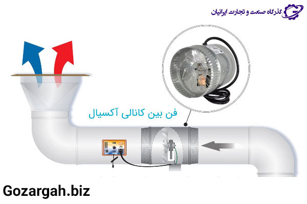 ساختار فن بین کانالی آکسیال