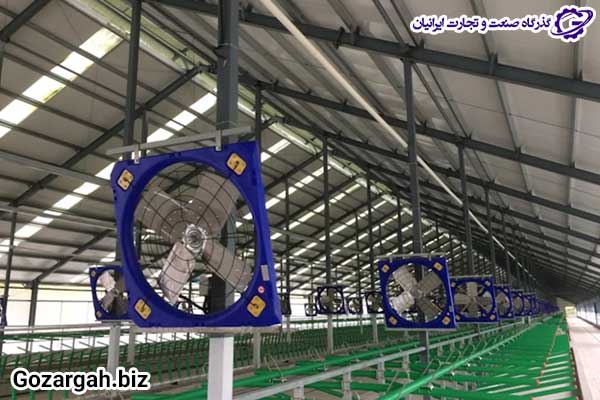 بهترین فن مرغداری